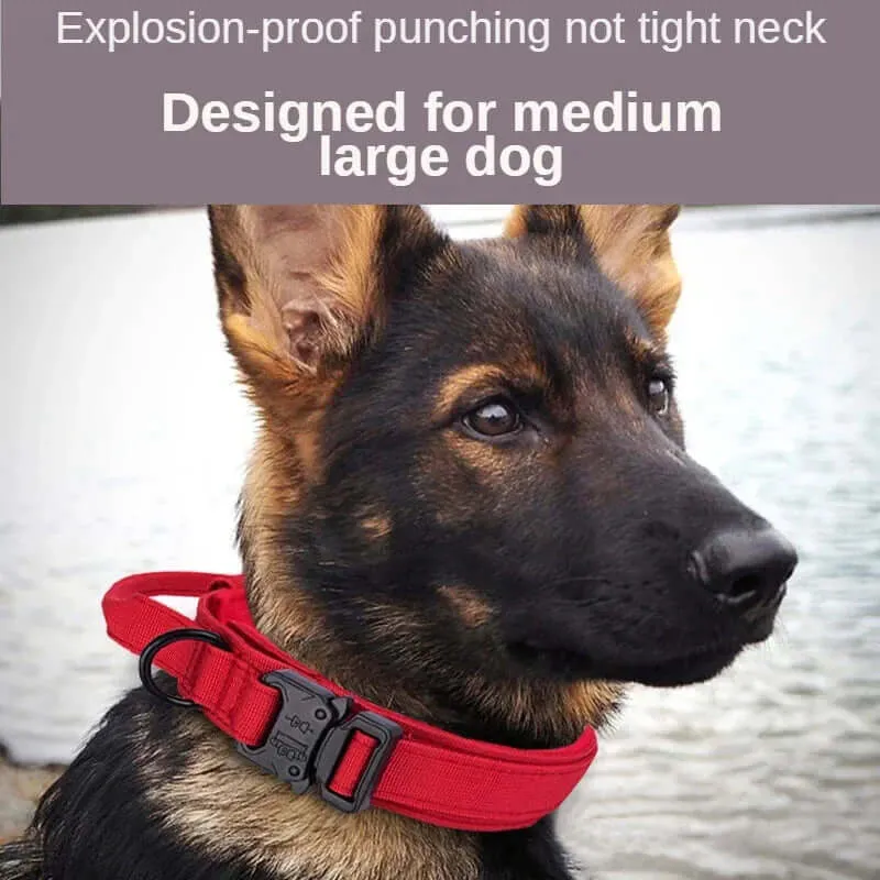 Durable Tactical Dog Collar & Leash